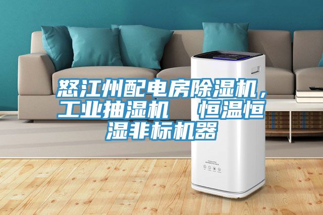 怒江州配電房除濕機，工業(yè)抽濕機  恒溫恒濕非標機器