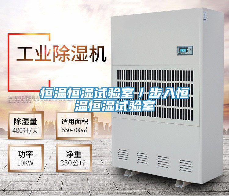 恒溫恒濕試驗(yàn)室／步入恒溫恒濕試驗(yàn)室