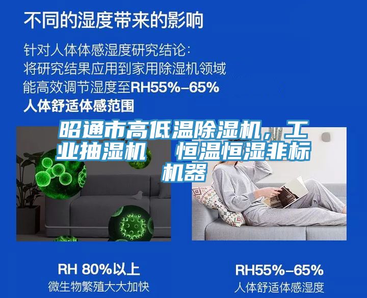 昭通市高低溫除濕機，工業抽濕機  恒溫恒濕非標機器