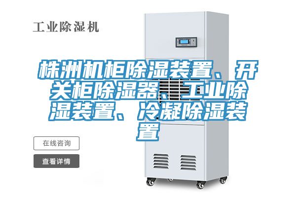 株洲機柜除濕裝置、開關柜除濕器、工業(yè)除濕裝置、冷凝除濕裝置