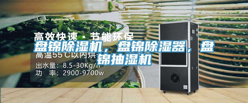 盤錦除濕機，盤錦除濕器，盤錦抽濕機
