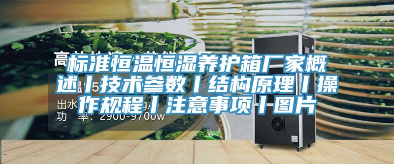 標準恒溫恒濕養(yǎng)護箱廠家概述丨技術參數丨結構原理丨操作規(guī)程丨注意事項丨圖片