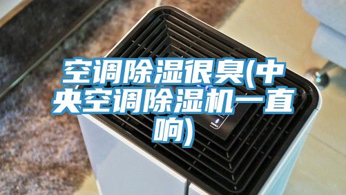 空調除濕很臭(中央空調除濕機一直響)