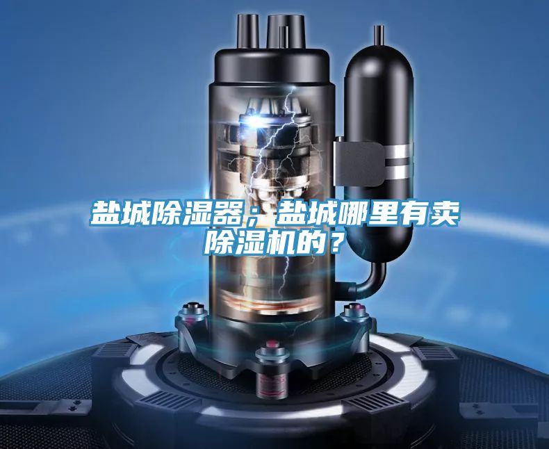 鹽城除濕器；鹽城哪里有賣除濕機的？