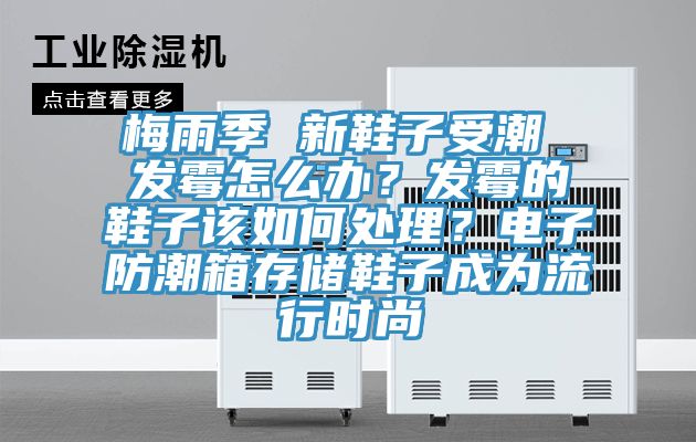 梅雨季 新鞋子受潮 發(fā)霉怎么辦？發(fā)霉的鞋子該如何處理？電子防潮箱存儲鞋子成為流行時尚