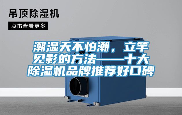 潮濕天不怕潮，立竿見影的方法——十大除濕機品牌推薦好口碑