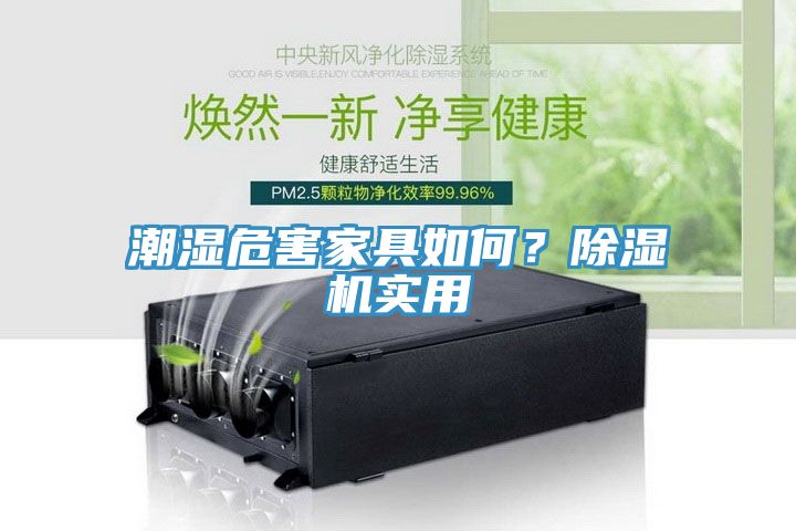 潮濕危害家具如何？除濕機實用