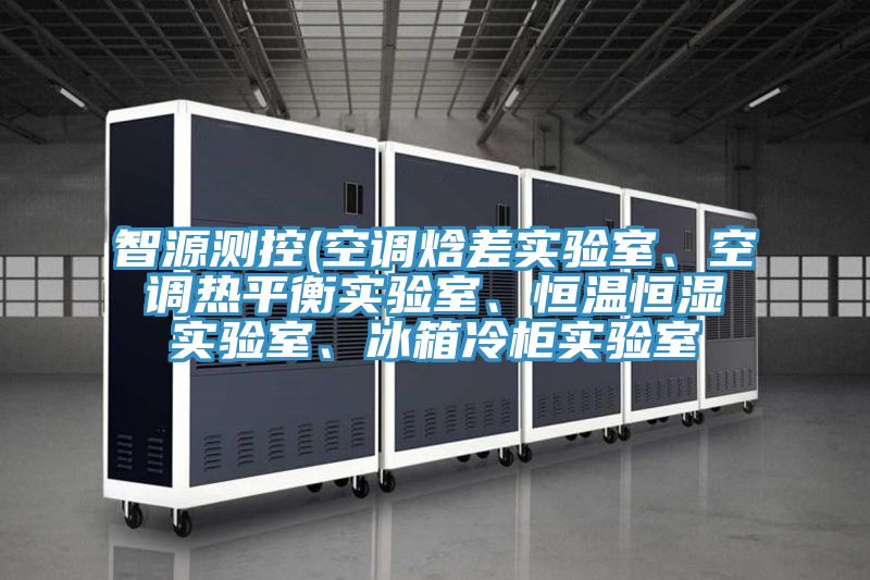 智源測控(空調(diào)焓差實驗室、空調(diào)熱平衡實驗室、恒溫恒濕實驗室、冰箱冷柜實驗室