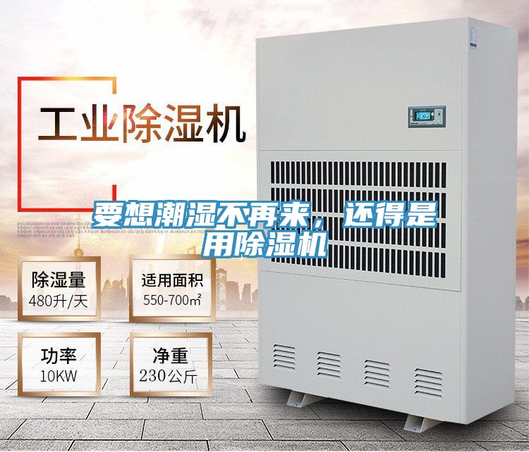 要想潮濕不再來，還得是用除濕機