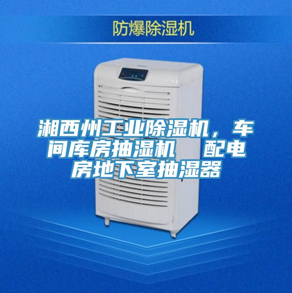 湘西州工業(yè)除濕機(jī)，車間庫(kù)房抽濕機(jī)  配電房地下室抽濕器