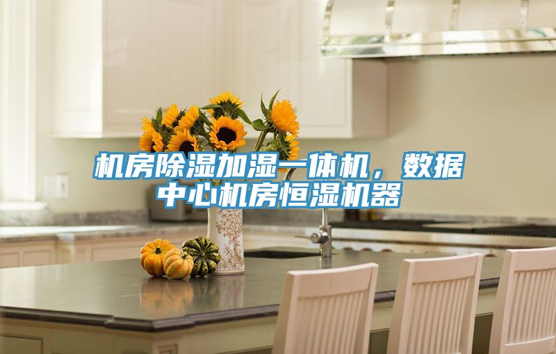 機房除濕加濕一體機，數據中心機房恒濕機器