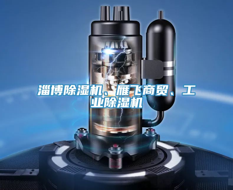 淄博除濕機、雁飛商貿、工業(yè)除濕機