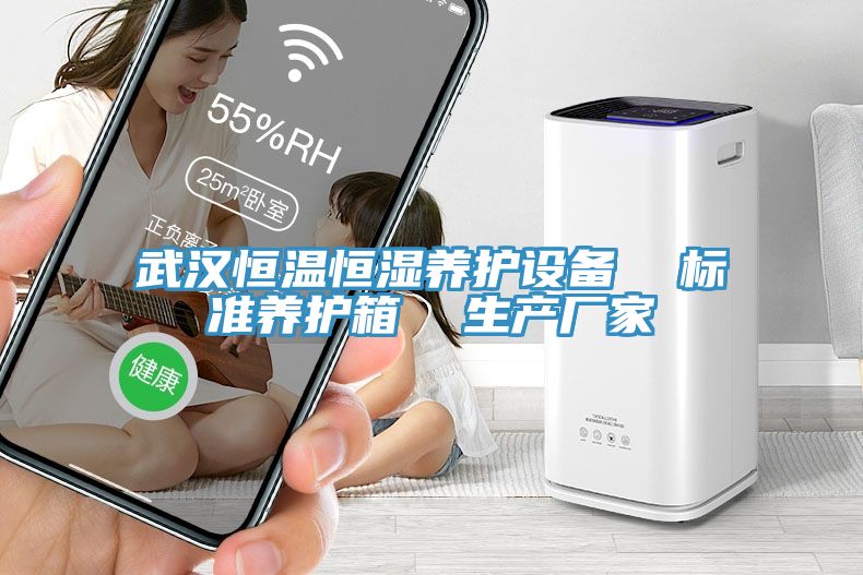 武漢恒溫恒濕養(yǎng)護設備  標準養(yǎng)護箱  生產(chǎn)廠家