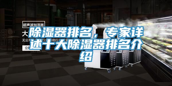 除濕器排名，專家詳述十大除濕器排名介紹