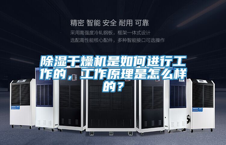 除濕干燥機是如何進行工作的，工作原理是怎么樣的？