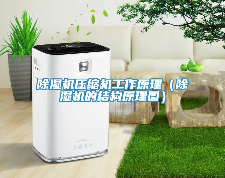除濕機壓縮機工作原理（除濕機的結構原理圖）