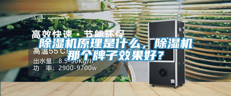 除濕機原理是什么，除濕機那個牌子效果好？