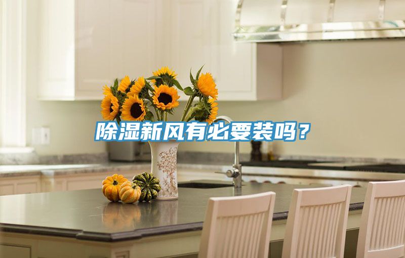 除濕新風有必要裝嗎？