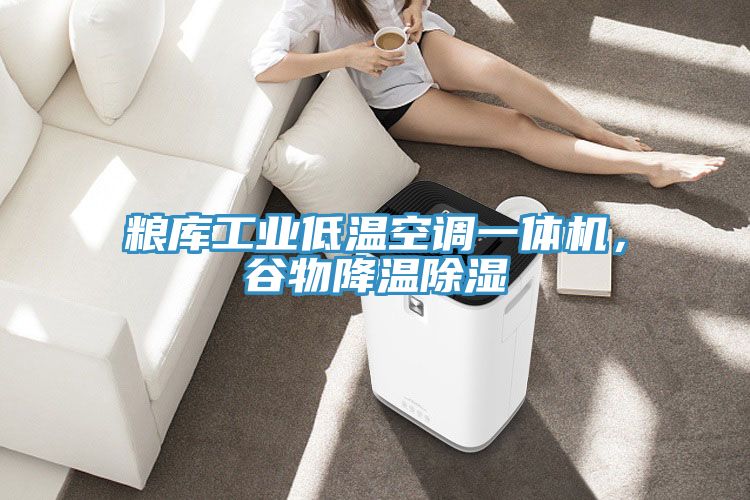糧庫工業低溫空調一體機，谷物降溫除濕