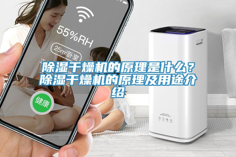 除濕干燥機的原理是什么？除濕干燥機的原理及用途介紹