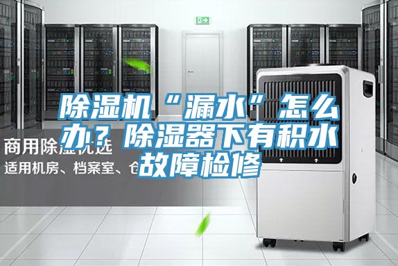 除濕機“漏水”怎么辦？除濕器下有積水故障檢修