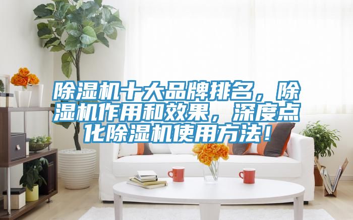 除濕機(jī)十大品牌排名，除濕機(jī)作用和效果，深度點(diǎn)化除濕機(jī)使用方法！