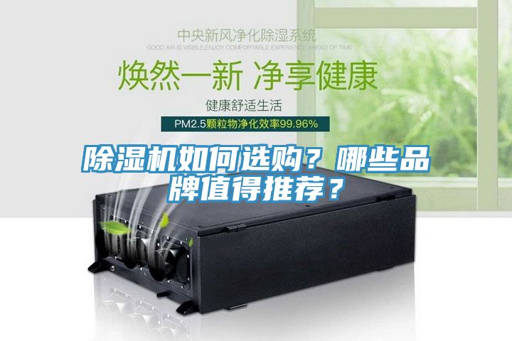 除濕機如何選購？哪些品牌值得推薦？