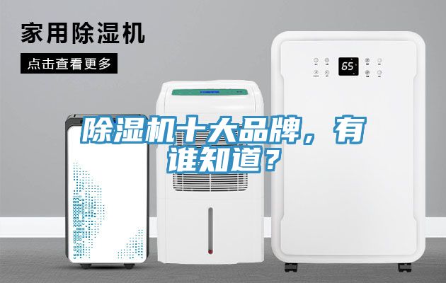 除濕機(jī)十大品牌，有誰(shuí)知道？