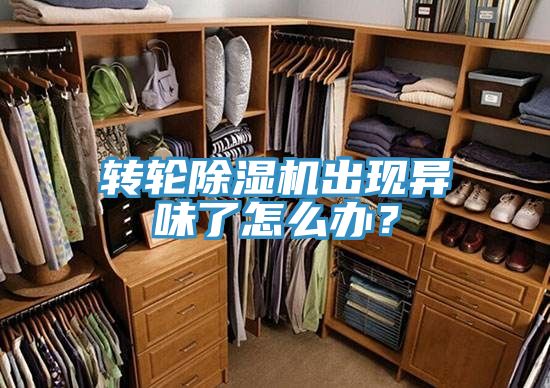 轉輪除濕機出現異味了怎么辦？