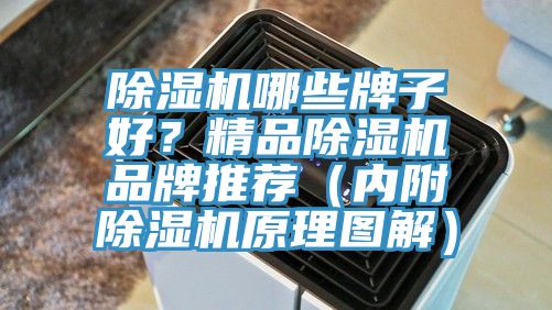 除濕機哪些牌子好？精品除濕機品牌推薦（內(nèi)附除濕機原理圖解）