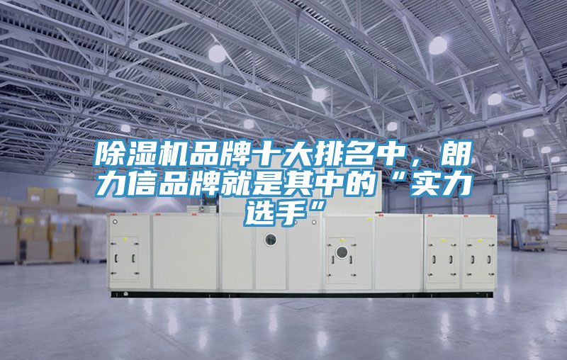 除濕機品牌十大排名中，朗力信品牌就是其中的“實力選手”