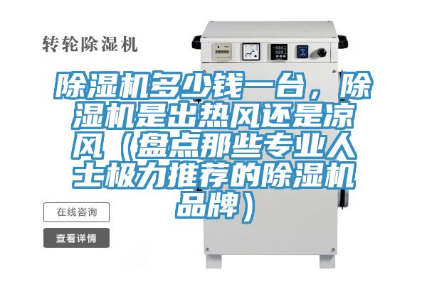 除濕機多少錢一臺，除濕機是出熱風還是涼風（盤點那些專業人士極力推薦的除濕機品牌）