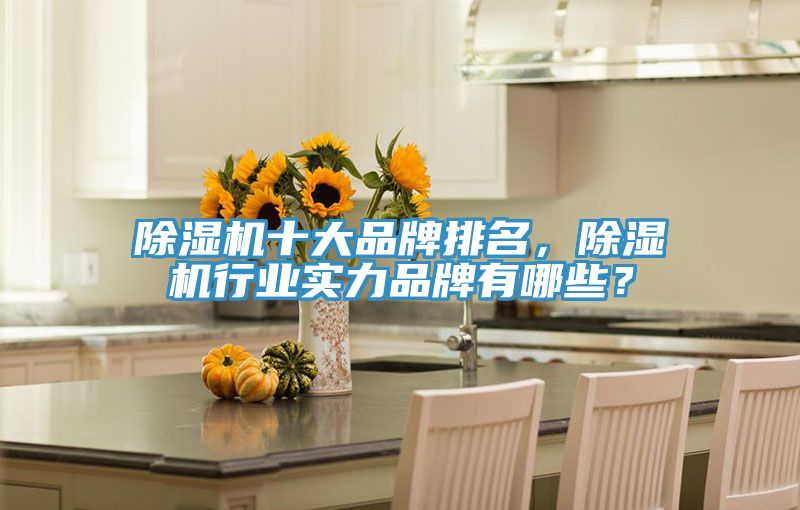 除濕機(jī)十大品牌排名，除濕機(jī)行業(yè)實(shí)力品牌有哪些？
