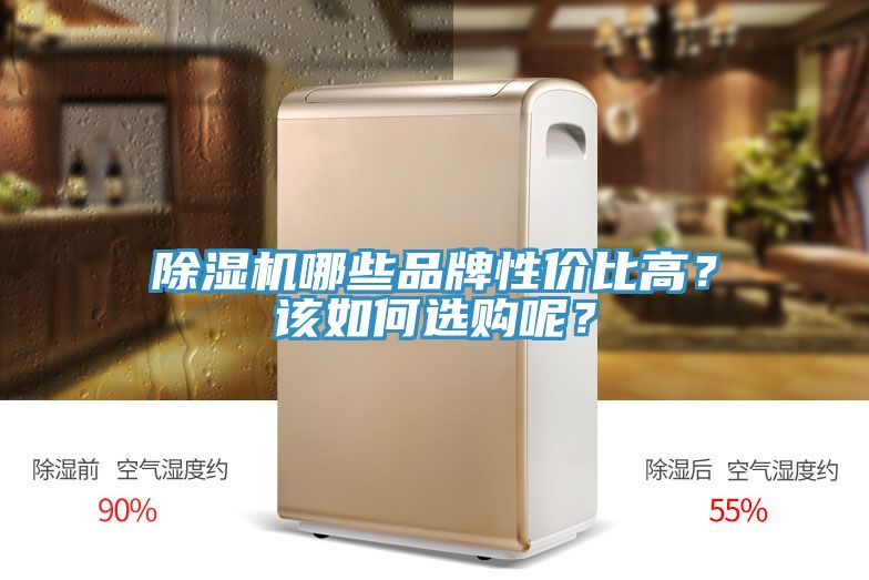 除濕機(jī)哪些品牌性價比高？該如何選購呢？