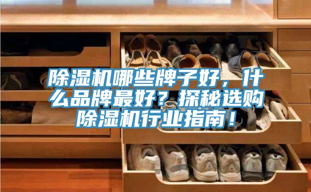除濕機哪些牌子好，什么品牌最好？探秘選購除濕機行業(yè)指南！