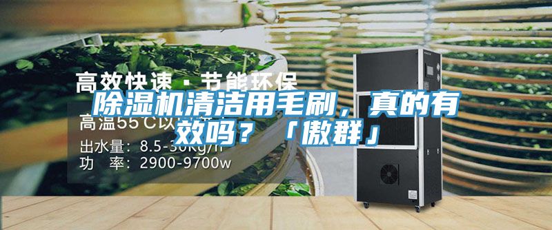 除濕機(jī)清潔用毛刷，真的有效嗎？「傲群」