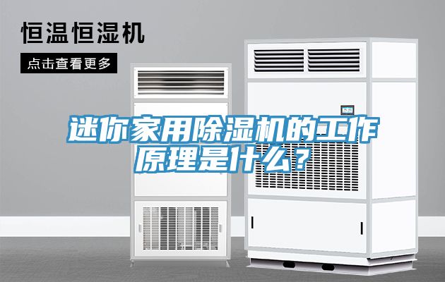 迷你家用除濕機的工作原理是什么？