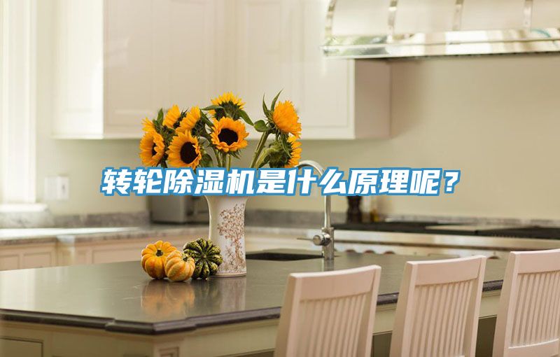 轉(zhuǎn)輪除濕機(jī)是什么原理呢？