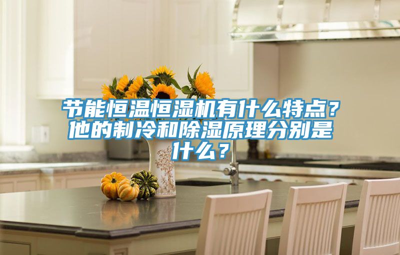 節(jié)能恒溫恒濕機有什么特點？他的制冷和除濕原理分別是什么？
