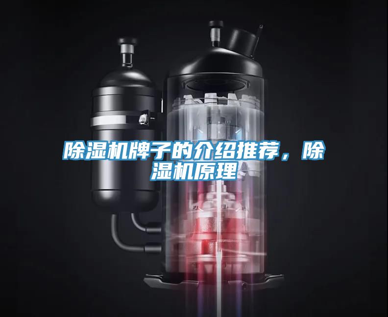 除濕機牌子的介紹推薦，除濕機原理