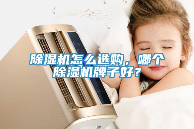 除濕機(jī)怎么選購，哪個(gè)除濕機(jī)牌子好？