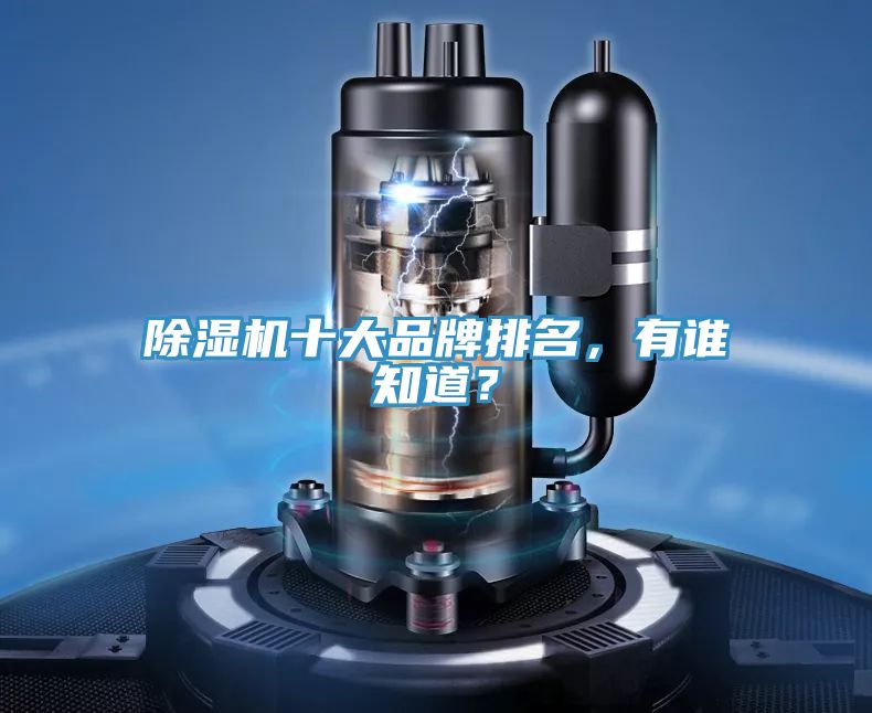 除濕機(jī)十大品牌排名，有誰(shuí)知道？