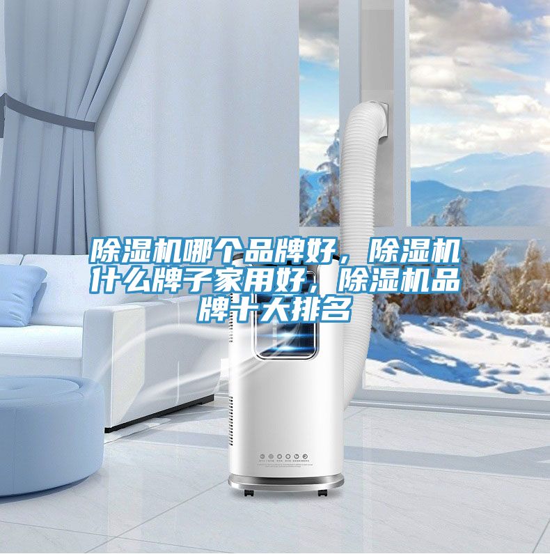 除濕機(jī)哪個(gè)品牌好，除濕機(jī)什么牌子家用好，除濕機(jī)品牌十大排名