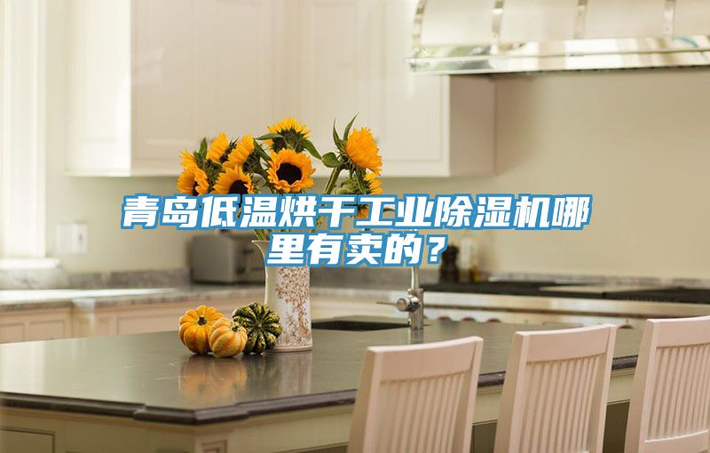青島低溫烘干工業(yè)除濕機(jī)哪里有賣的？