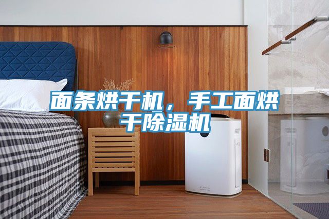 面條烘干機(jī)，手工面烘干除濕機(jī)