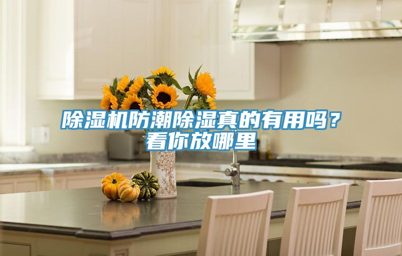 除濕機防潮除濕真的有用嗎？看你放哪里