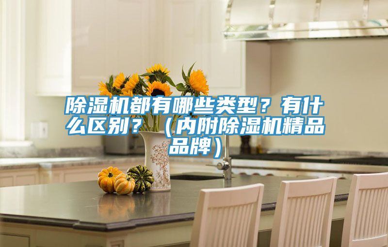 除濕機都有哪些類型？有什么區別？（內附除濕機精品品牌）