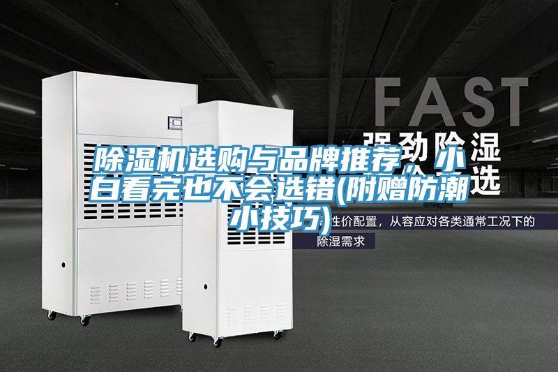 除濕機選購與品牌推薦，小白看完也不會選錯(附贈防潮小技巧)